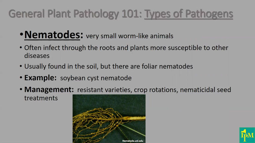 PM_CCA Pathology Basic Training - Cummings_2019